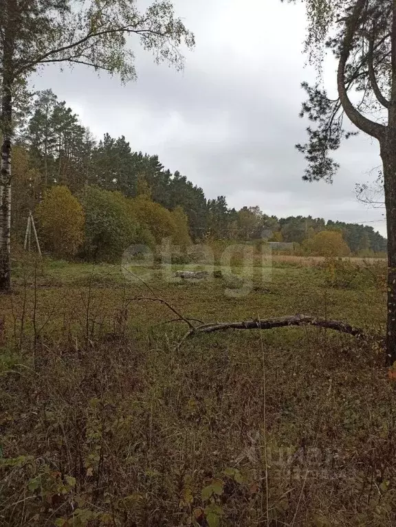 Участок в Калужская область, Малоярославецкий муниципальный округ, ... - Фото 2