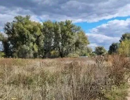 Участок в Волгоградская область, Среднеахтубинский район, Красное ... - Фото 0