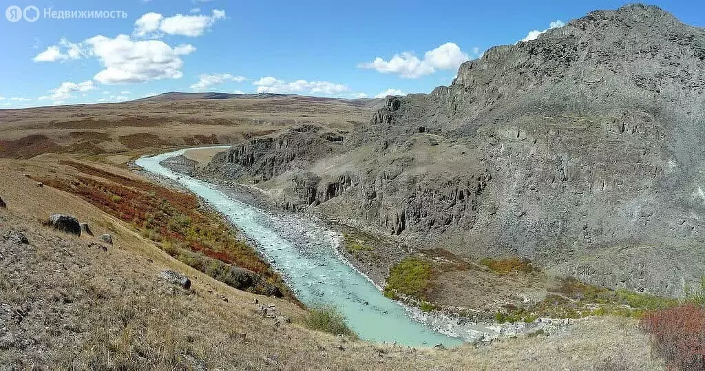 Участок в Кош-Агачский район, Джазаторское сельское поселение, село ... - Фото 1
