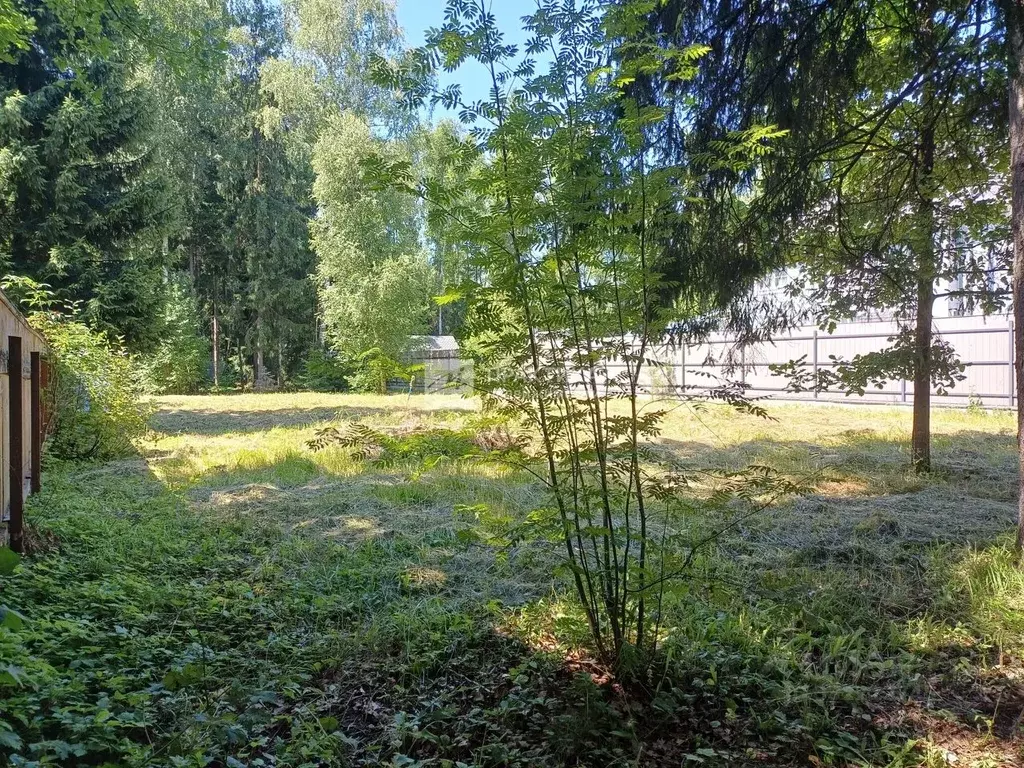 Участок в Московская область, Одинцовский городской округ, д. Сивково, ... - Фото 2