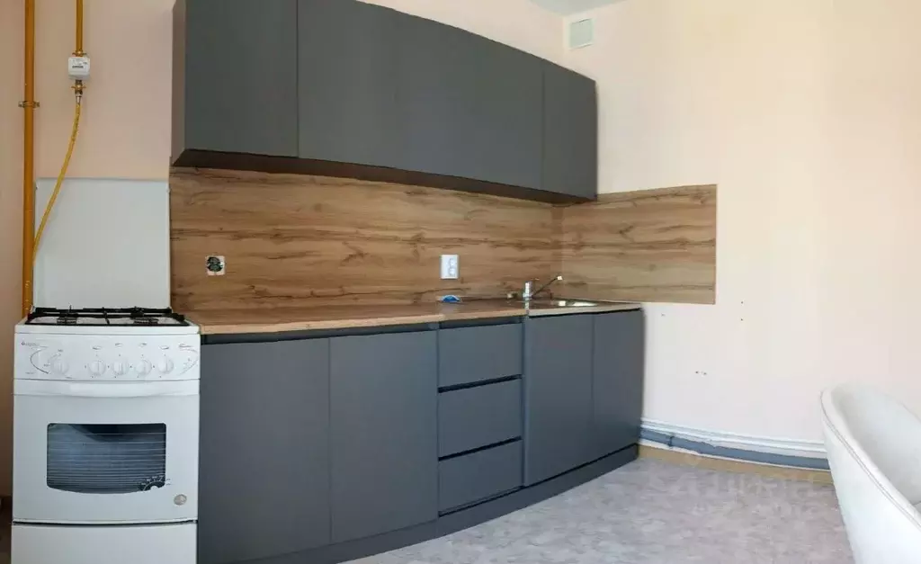 1-к кв. Самарская область, Волжский район, Черноречье с/пос, с. ... - Фото 1