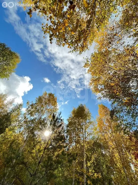 Дом в Курганская область, Кетовский муниципальный округ, ДПК ... - Фото 1