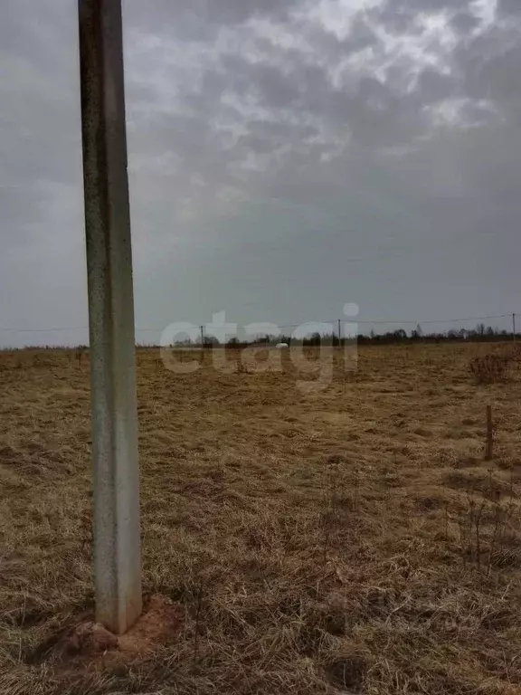 Участок в Псковская область, Псковский район, Завеличенская волость, ... - Фото 1