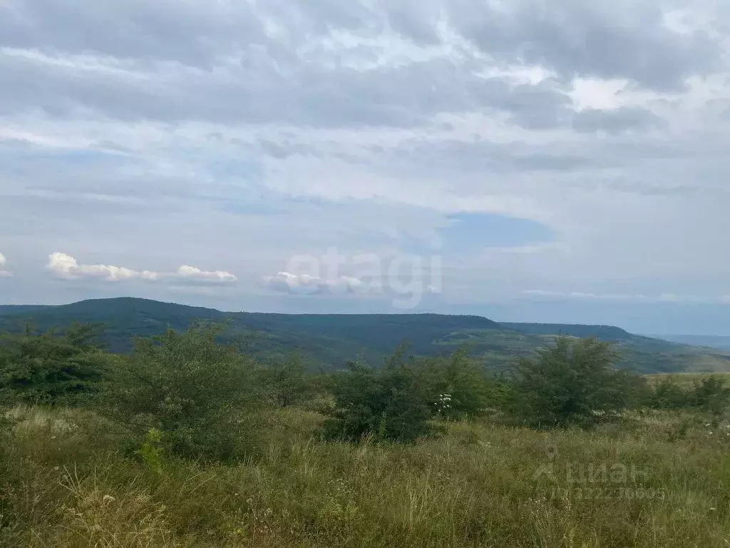 Участок в Ставропольский край, Ставрополь Встреча садовое ... - Фото 1