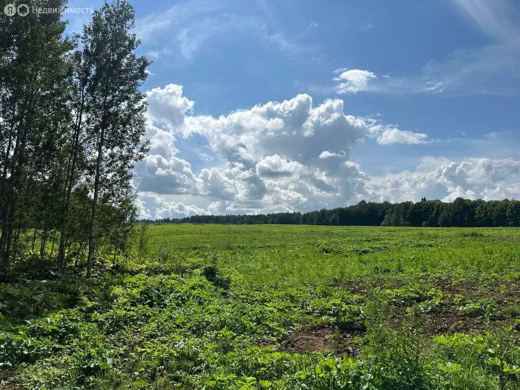 Участок в Московская область, городской округ Клин, деревня Русино ... - Фото 1