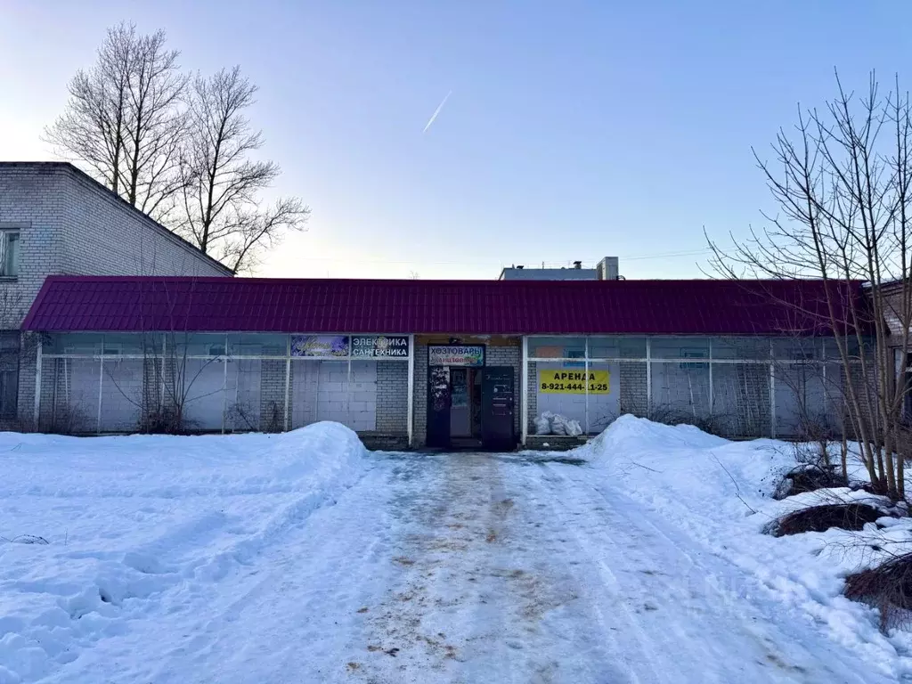 Помещение свободного назначения в Ленинградская область, Волосовский ... - Фото 0