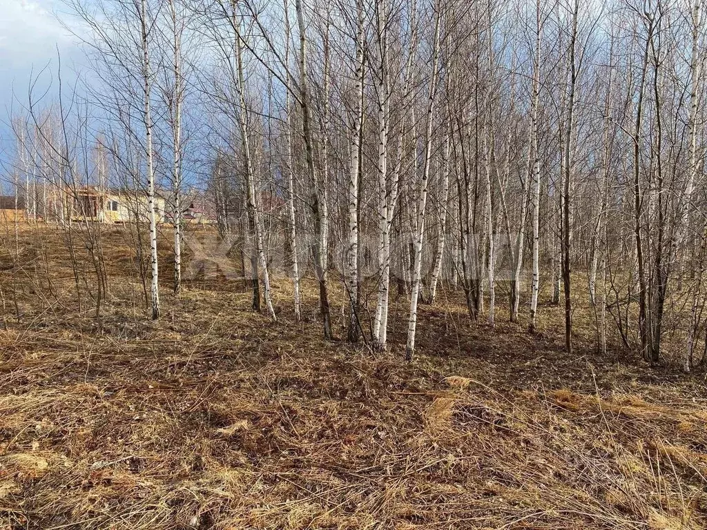 Участок в Новосибирская область, Мошковский район, Индия кп, ... - Фото 1