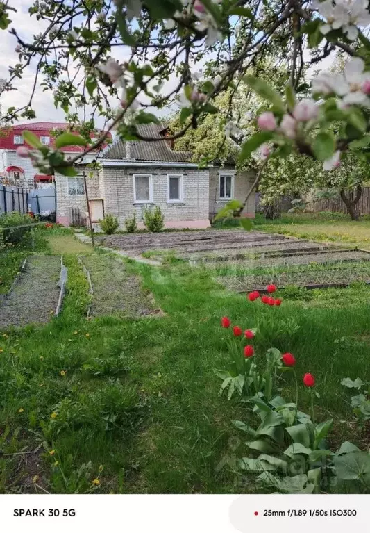 Участок в Брянская область, Брянск Кромская ул. (7.8 сот.) - Фото 1