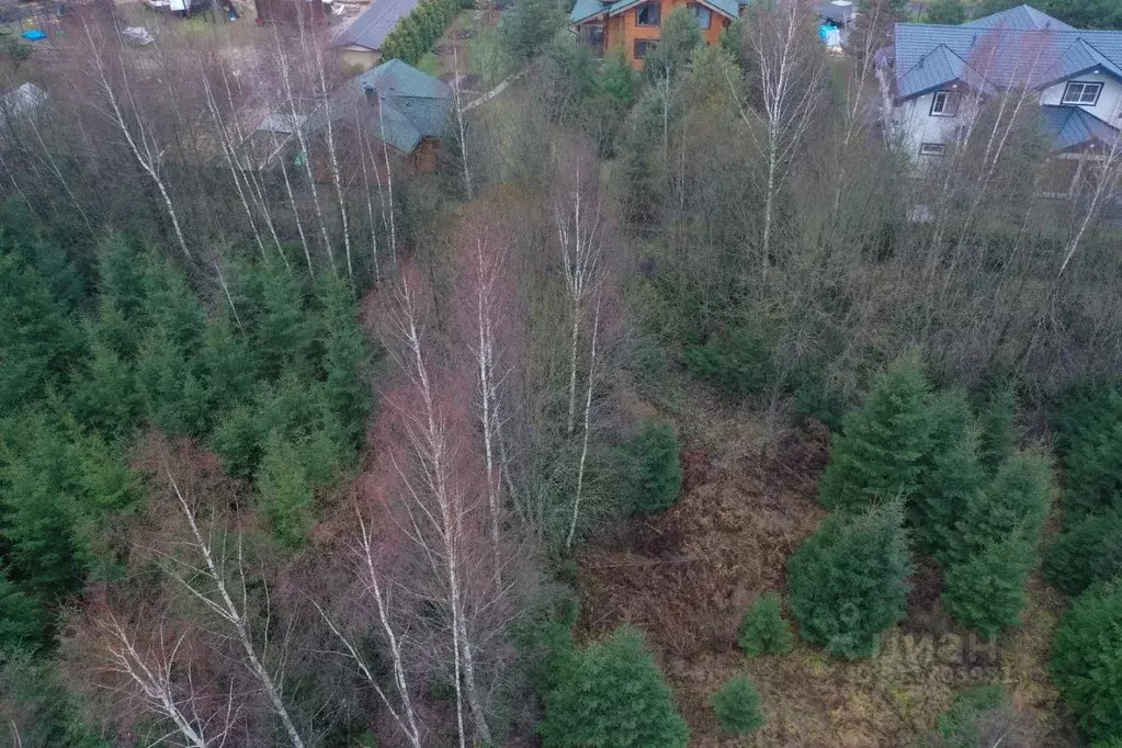 Участок в Московская область, Наро-Фоминский городской округ, д. ... - Фото 1