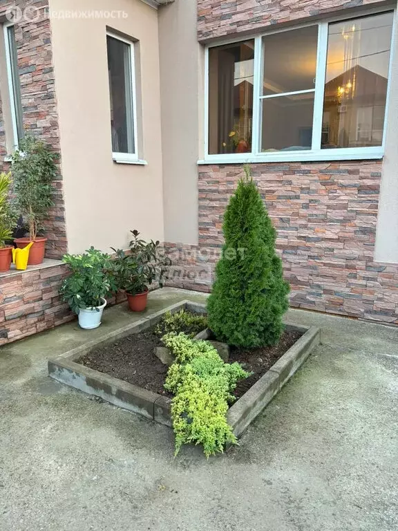 Дом в Краснодарский край, муниципальный округ Анапа, село Супсех (197 ... - Фото 2