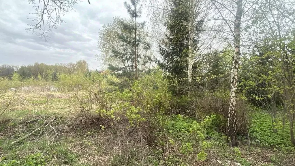 Участок в Московская область, Ступино городской округ, д. Чирково ул. ... - Фото 0
