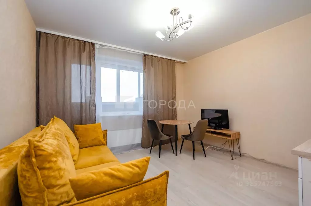 Студия Новосибирская область, Новосибирск ул. Романова, 60 (24.0 м) - Фото 1