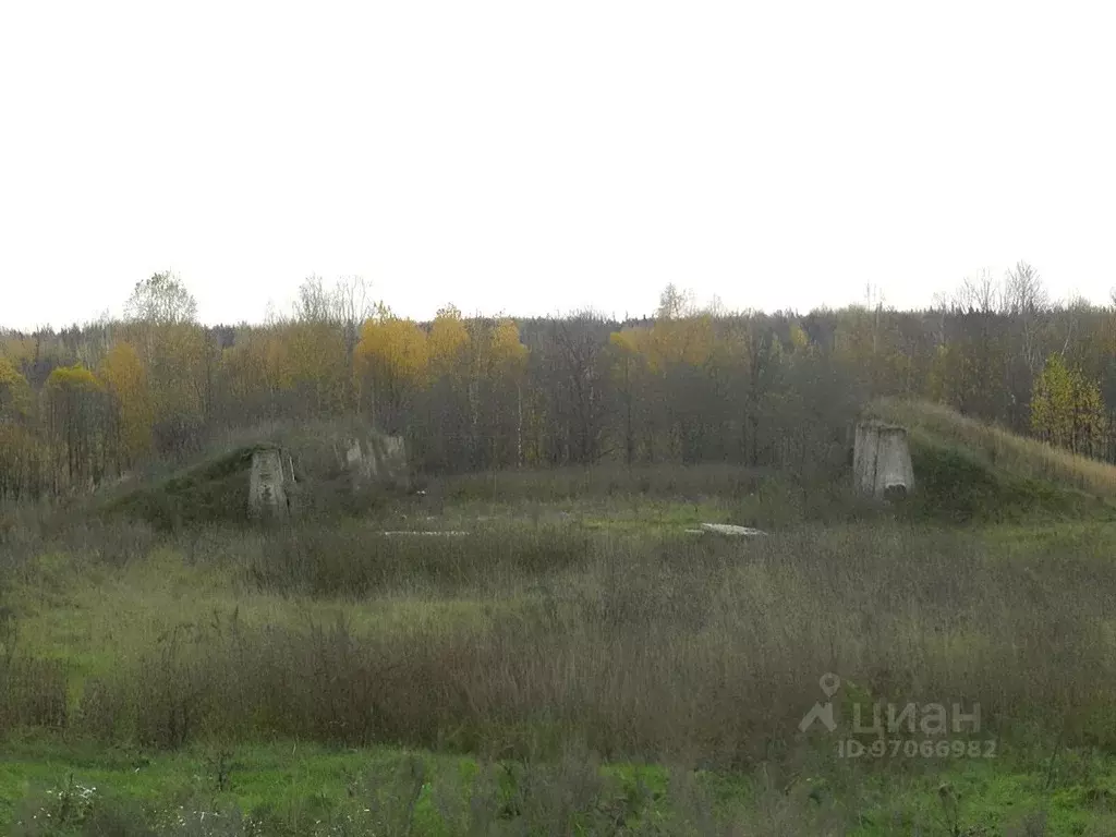 Производственное помещение в Марий Эл, Советский район, Михайловское ... - Фото 1