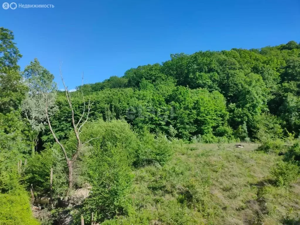 Участок в Краснодарский край, Туапсинский муниципальный округ, СНТ ... - Фото 1