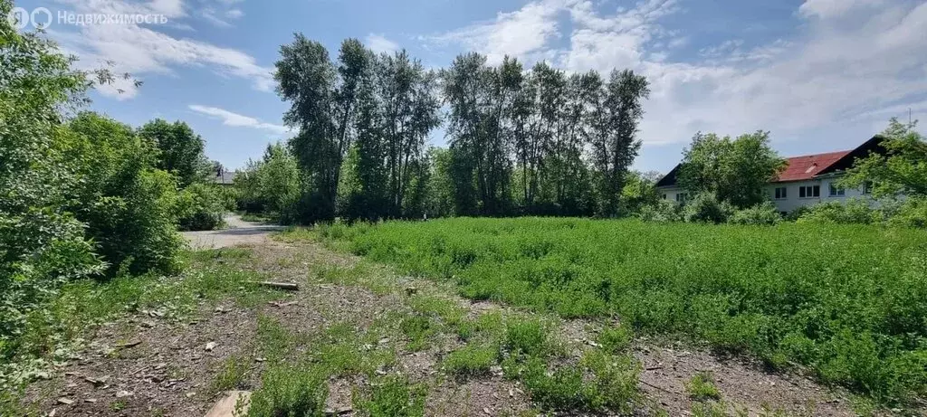 Участок в Асбест, улица Некрасова, 58 (44.93 м) - Фото 1