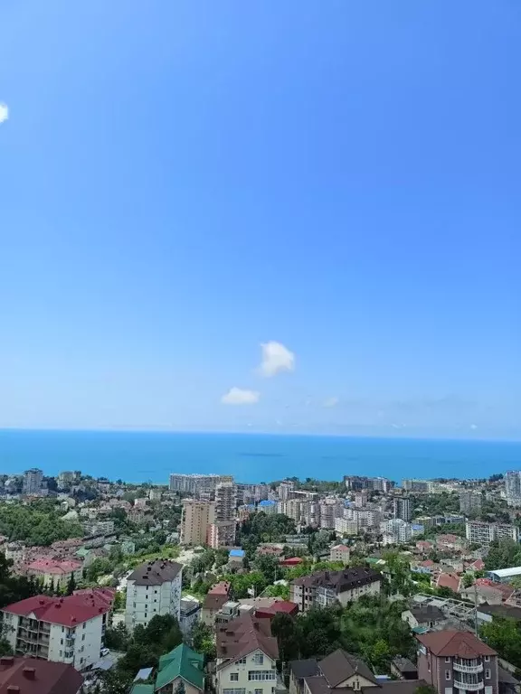 Студия Краснодарский край, Сочи Целинная ул., 13А (40.0 м) - Фото 1
