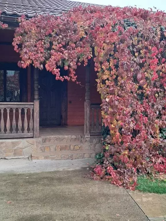 Дом в Краснодарский край, Апшеронский район, Нижегородское с/пос, ... - Фото 1