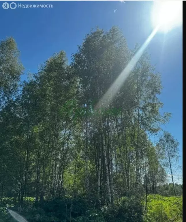 Участок в Тверская область, Конаковский муниципальный округ, село ... - Фото 1