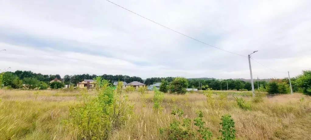 Участок в Белгородская область, Белгородский район, пос. Майский ... - Фото 0