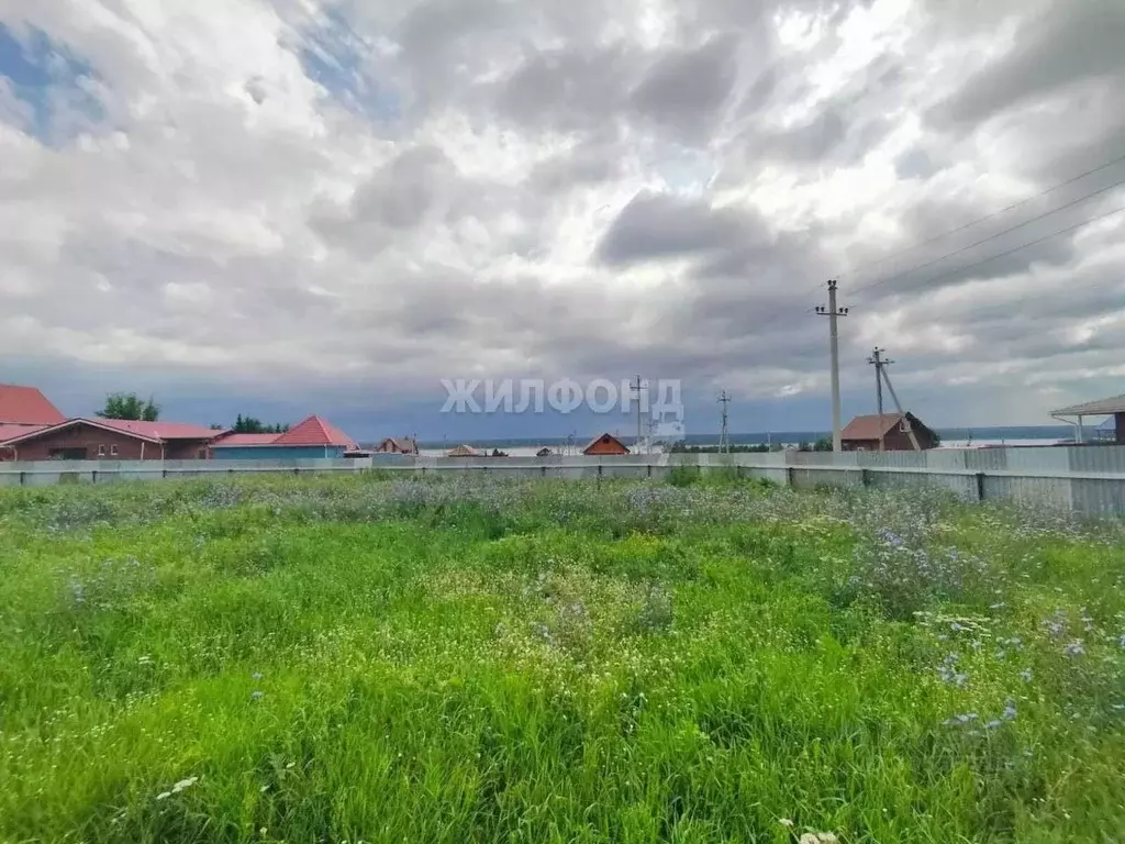 участок в новосибирская область, ордынский район, с. кирза ул. ленина . - Фото 1