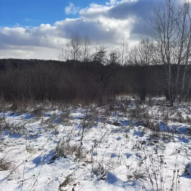 Участок в Московская область, Ступино городской округ, д. Лаптево  ... - Фото 0