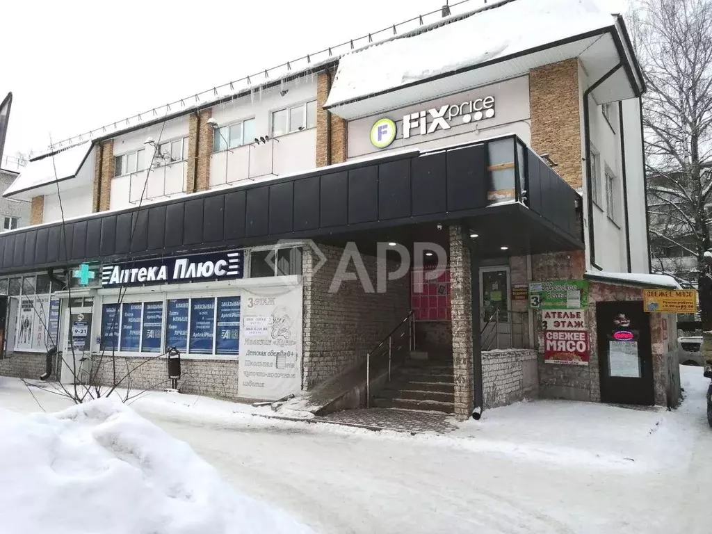 Помещение свободного назначения в Брянская область, Брянск Почтовая ... - Фото 1