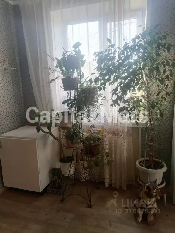 2-к кв. Москва ул. Короленко, 1К1 (45.0 м) - Фото 1