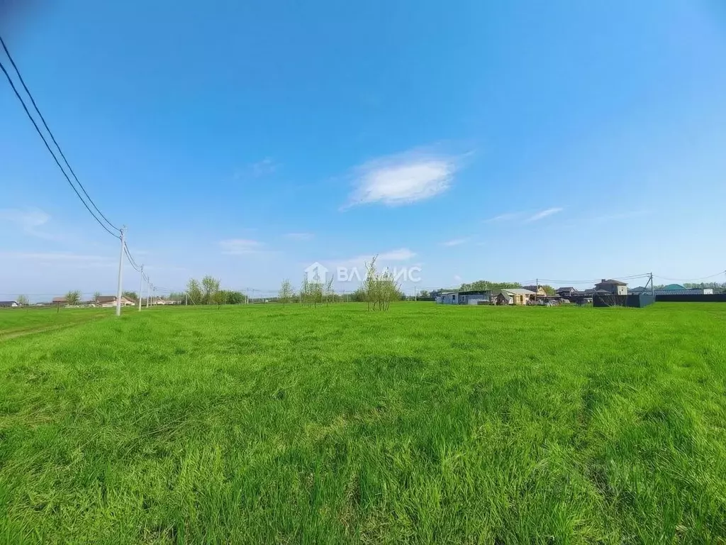 Участок в Московская область, Коломна городской округ, д. Борисовское ... - Фото 2