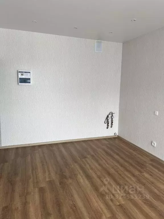 Студия Алтайский край, Барнаул Взлетная ул., 115 (24.2 м) - Фото 2