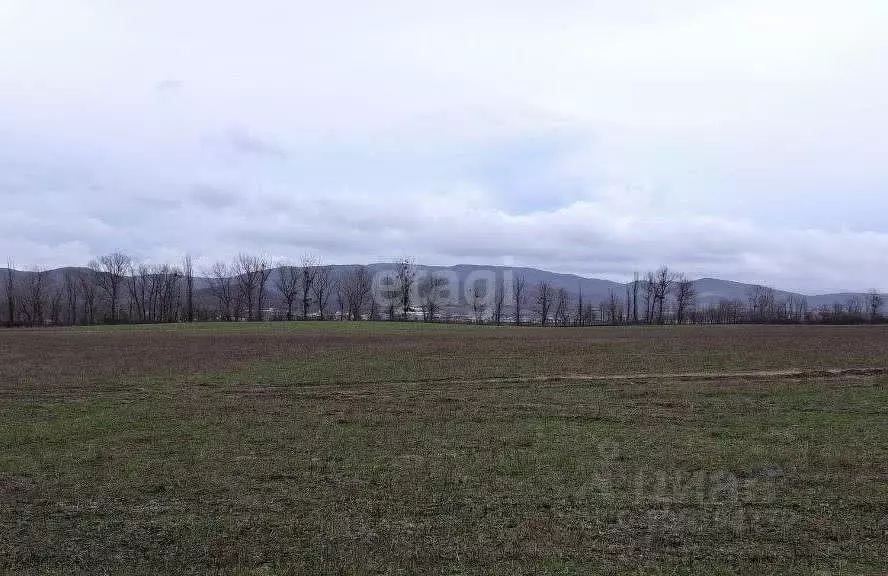 Участок в Краснодарский край, Новороссийск муниципальное образование, ... - Фото 0