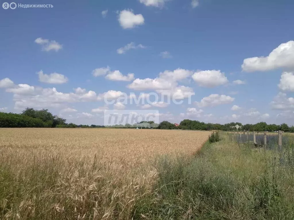 Участок в станица Алексеевская, Школьная улица, 126 (25 м) - Фото 2