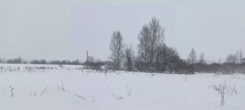 Участок в Московская область, Дмитровский муниципальный округ, д. ... - Фото 1