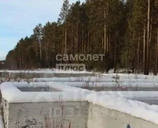 Участок в Забайкальский край, Читинский район, с. Смоленка ул. ... - Фото 0