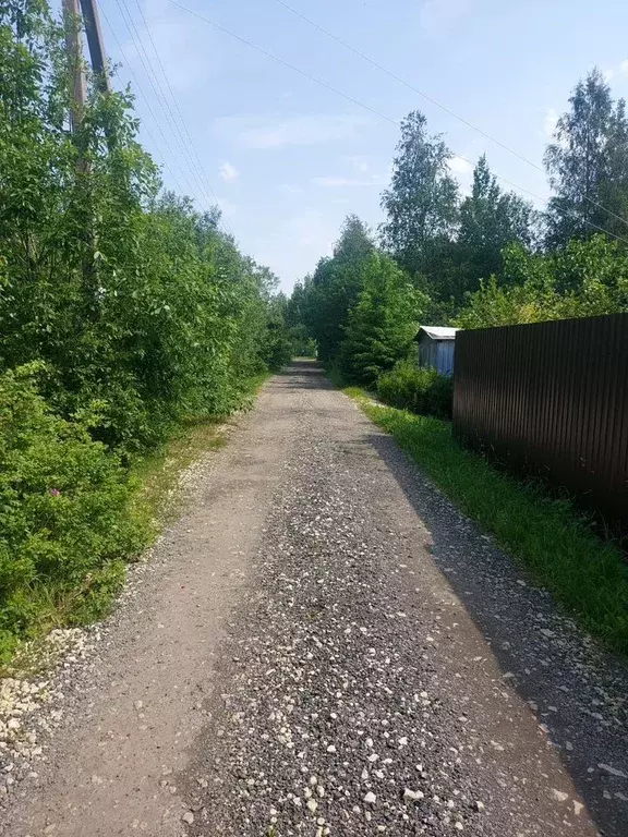 Дом в Ленинградская область, Гатчинский муниципальный округ, Березовая ... - Фото 1