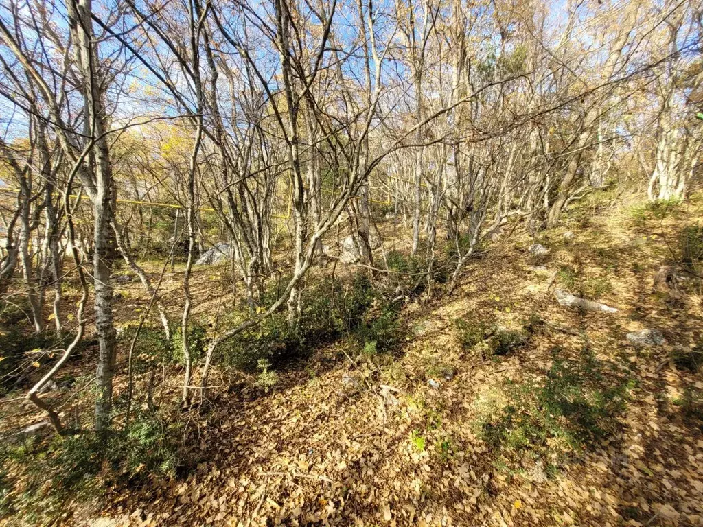 Участок в Крым, Ялта муниципальный округ, Кореиз пгт  (10.0 сот.) - Фото 2