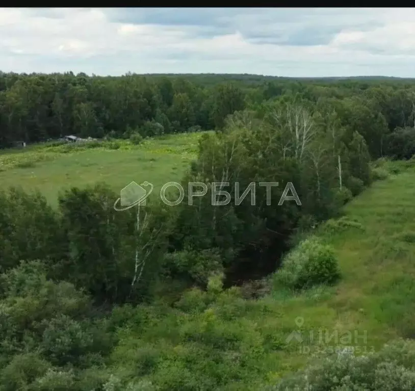 Участок в Тюменская область, Тюменский муниципальный округ Салаирский ... - Фото 2