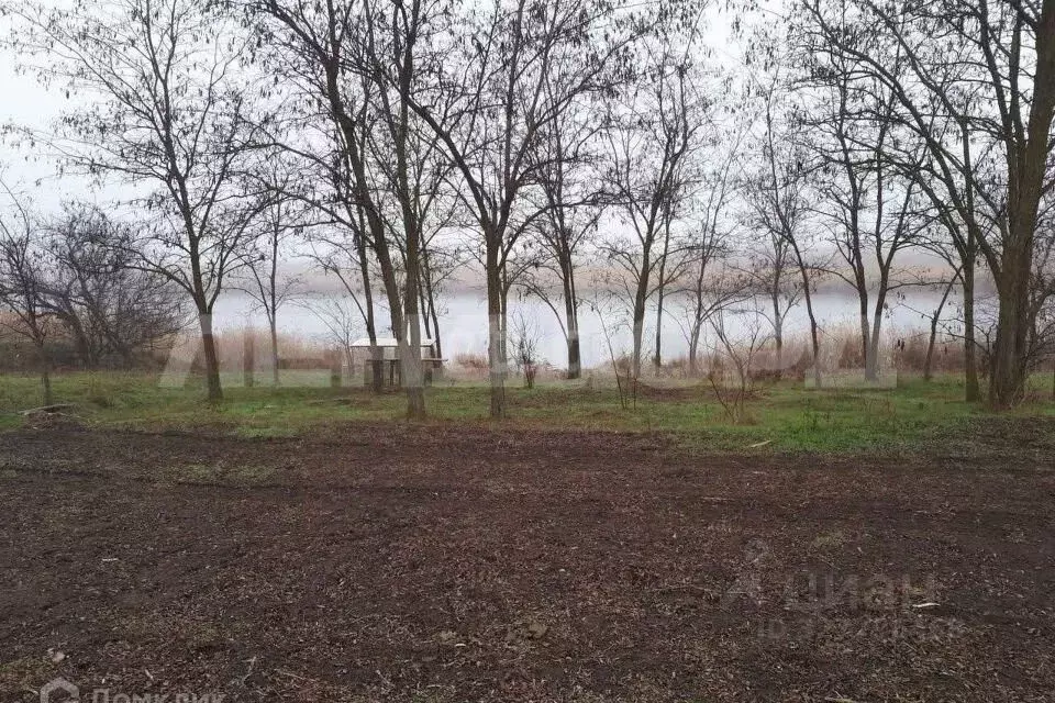 Участок в Ростовская область, Азовский район, Задонское с/пос, Победа ... - Фото 2