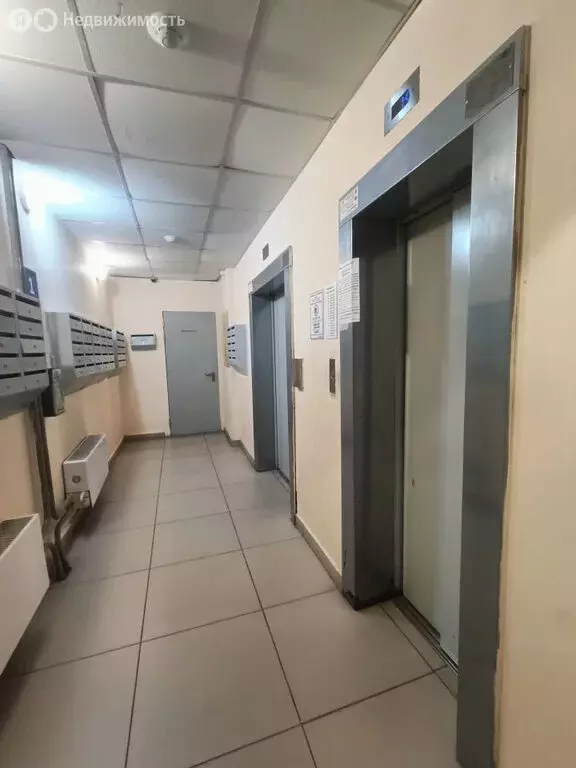 3-комнатная квартира: Екатеринбург, улица Чкалова, 241 (80 м) - Фото 1