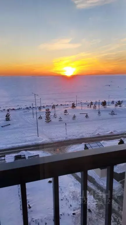 1-к кв. Санкт-Петербург наб. Миклухо-Маклая, 3к1 (45.5 м) - Фото 1