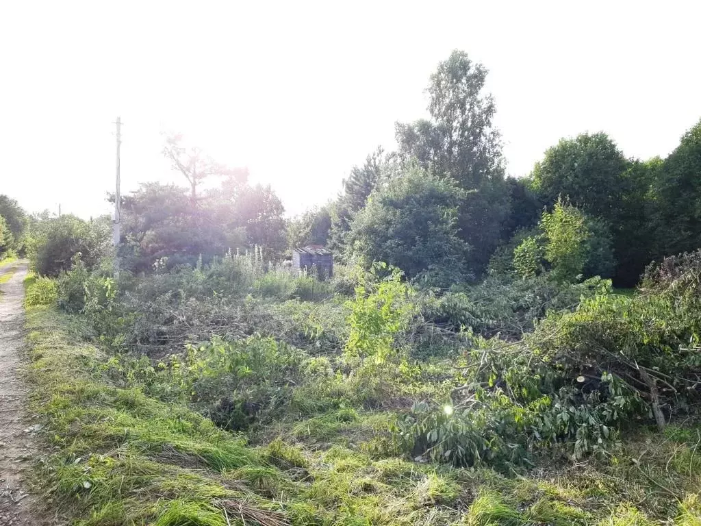 Участок в Московская область, Дмитровский муниципальный округ, Маяк ... - Фото 1
