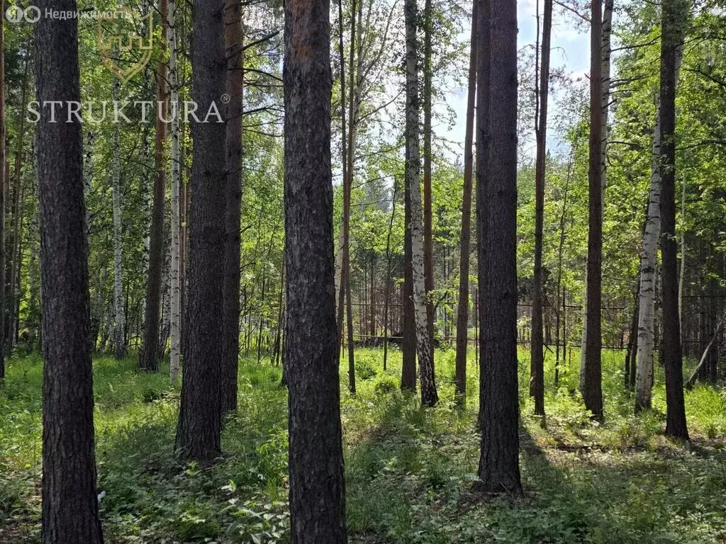 Участок в село Курганово, микрорайон Зуброво (17.6 м) - Фото 0