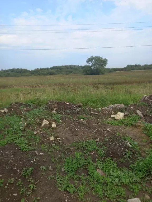 Участок в Московская область, Раменский муниципальный округ, д. ... - Фото 2