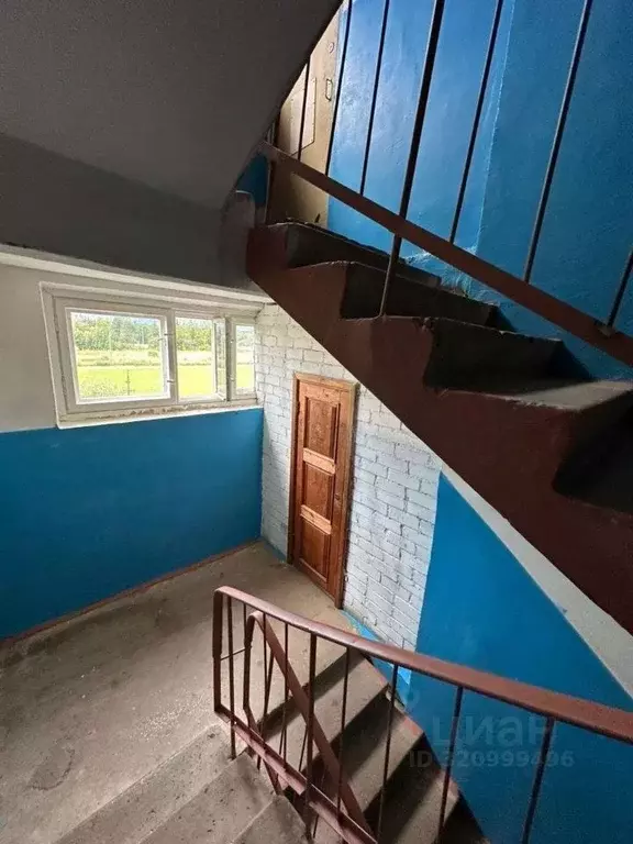 2-к кв. Новгородская область, Новгородский район, Трубичинское с/пос, ... - Фото 2