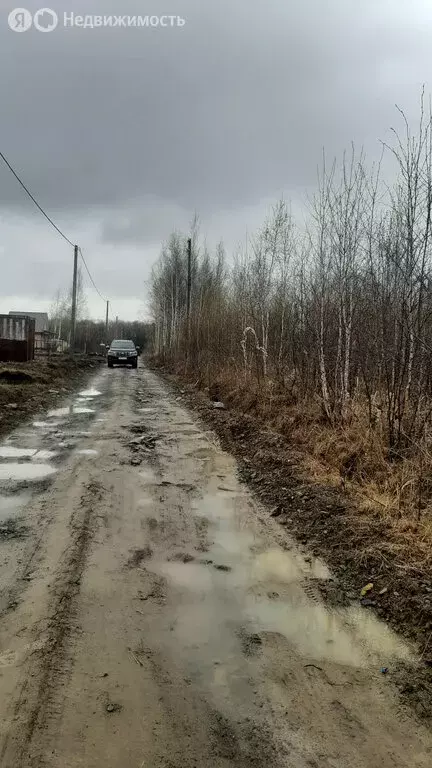Участок в Мичуринское сельское поселение, село Виноградовка (9 м) - Фото 0