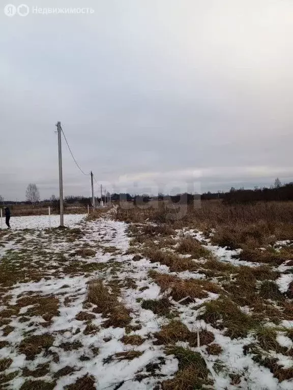 Участок в Ярославский муниципальный округ (10 м) - Фото 2