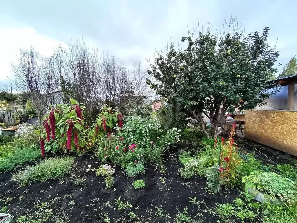 Дом в Башкортостан, Стерлитамакский район, Наумовский сельсовет, ... - Фото 2
