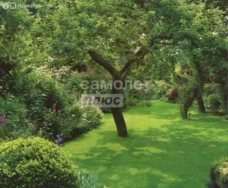 Дом в Липецк, СНТ имени Мичурина, Торговая улица, 22 (46 м) - Фото 1