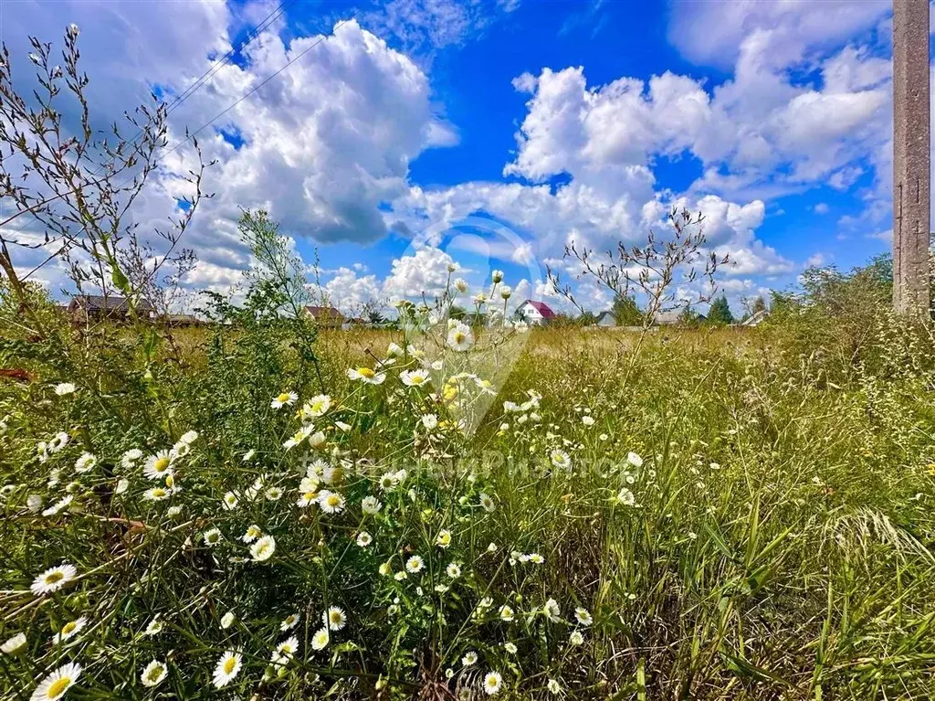 Участок в Рязанская область, Рязанский муниципальный округ, Заря ... - Фото 1