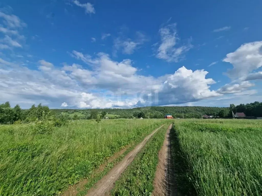 Участок в Калужская область, Калуга городской округ, д. Уварово уч81 ... - Фото 2