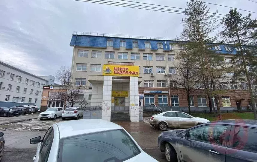 Торговая площадь в Самарская область, Самара ул. Авроры, 110к1 (225 м) - Фото 1